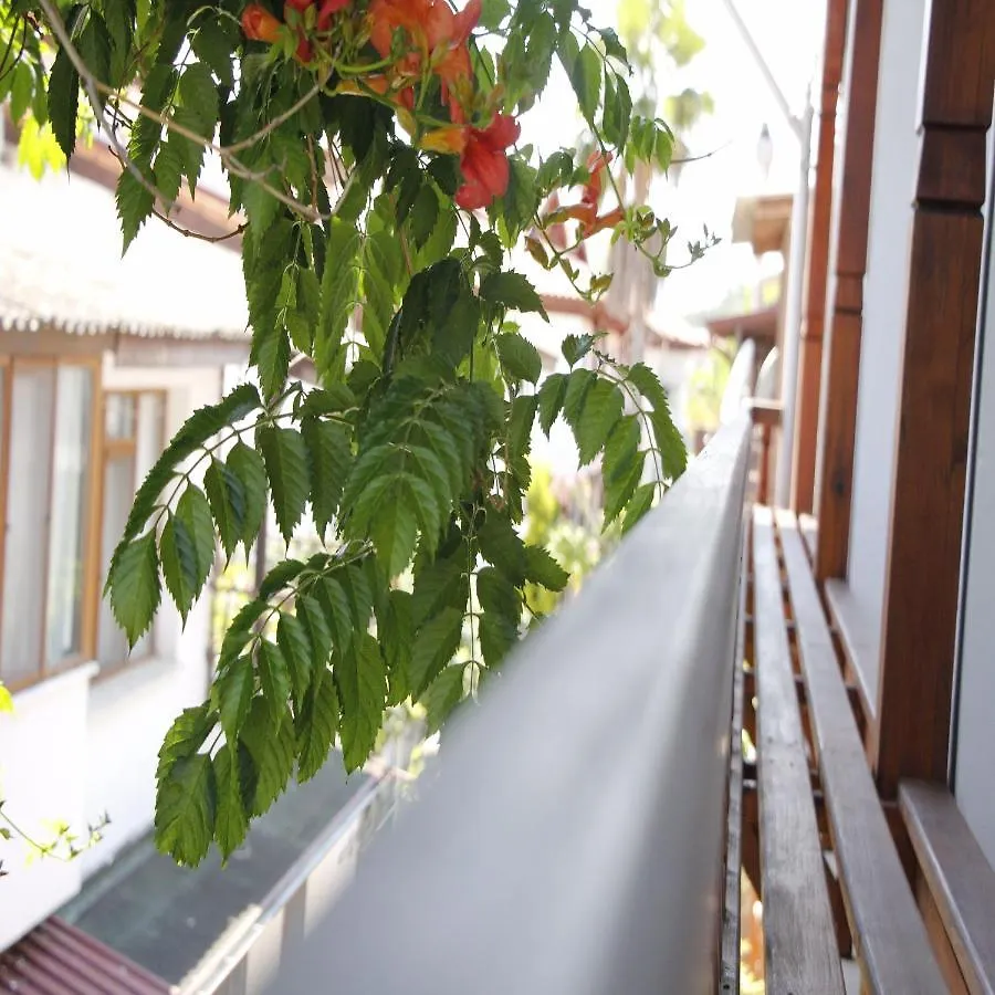 Limon Otel Akyaka  Hotel Akyaka (Mugla)